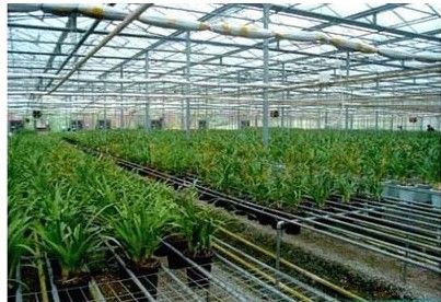 植物快速养殖应用-磁化透气苗床